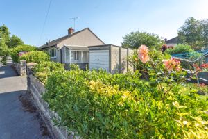 Photo 10- click for photo gallery